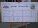 Grest_19-6 071